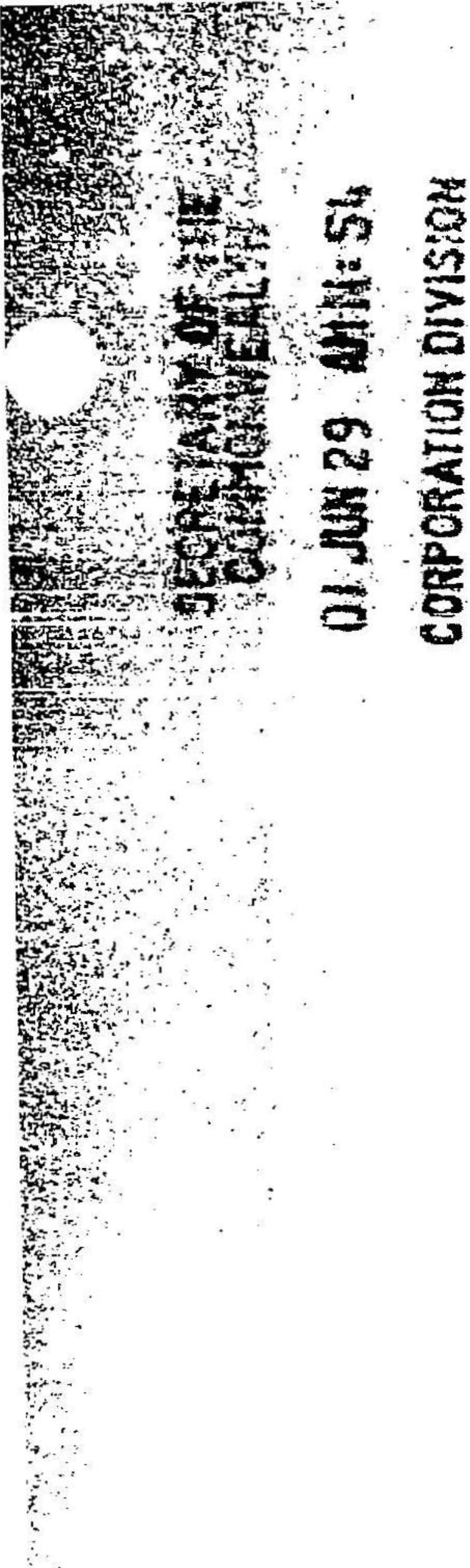 image_8.jpg