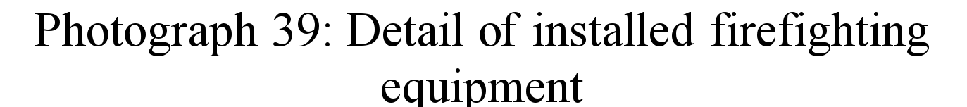 image_48.jpg