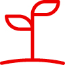 plantleavesa.jpg