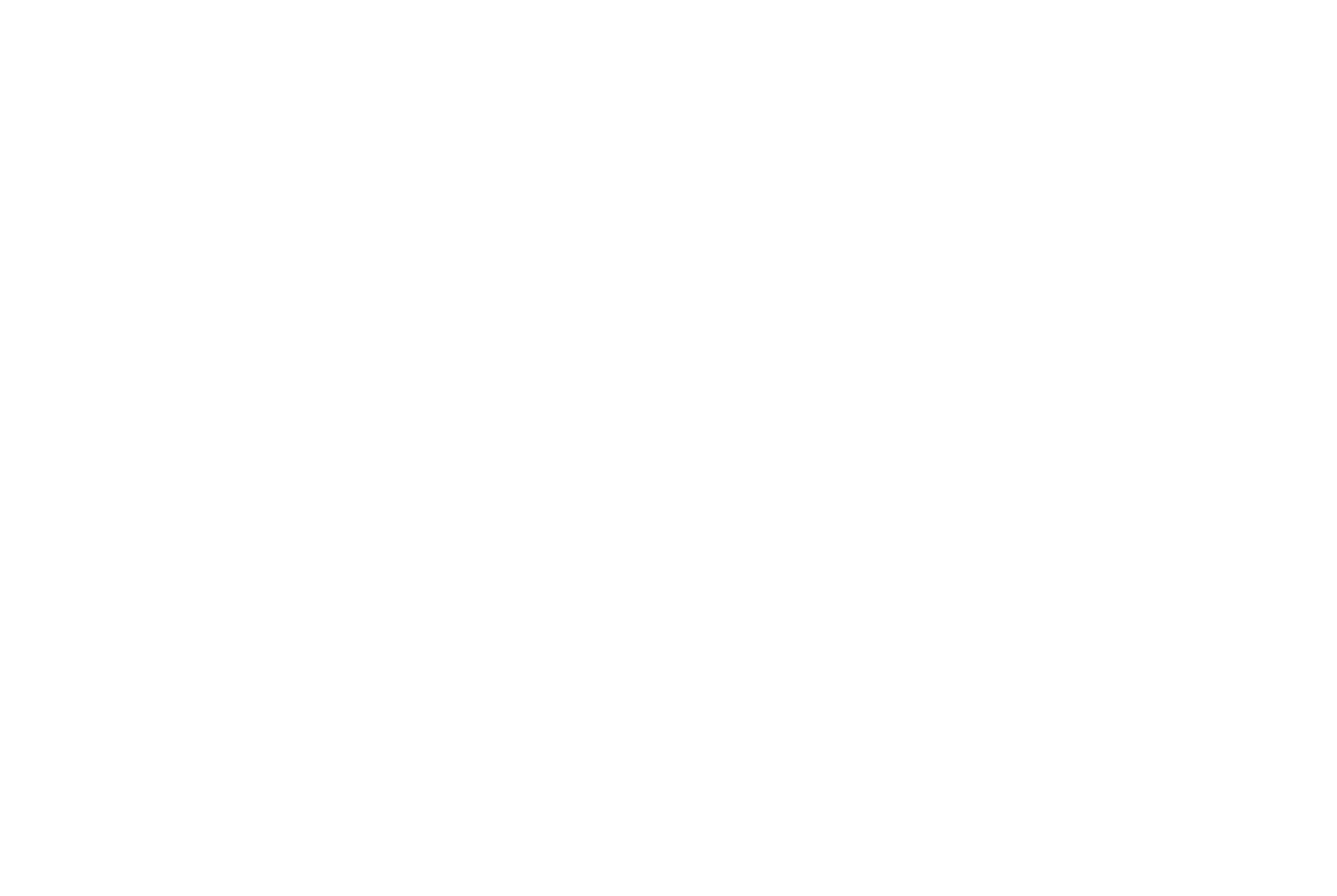 suzano-selo100anosxnegativa.jpg