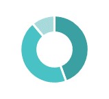itpiechart.jpg