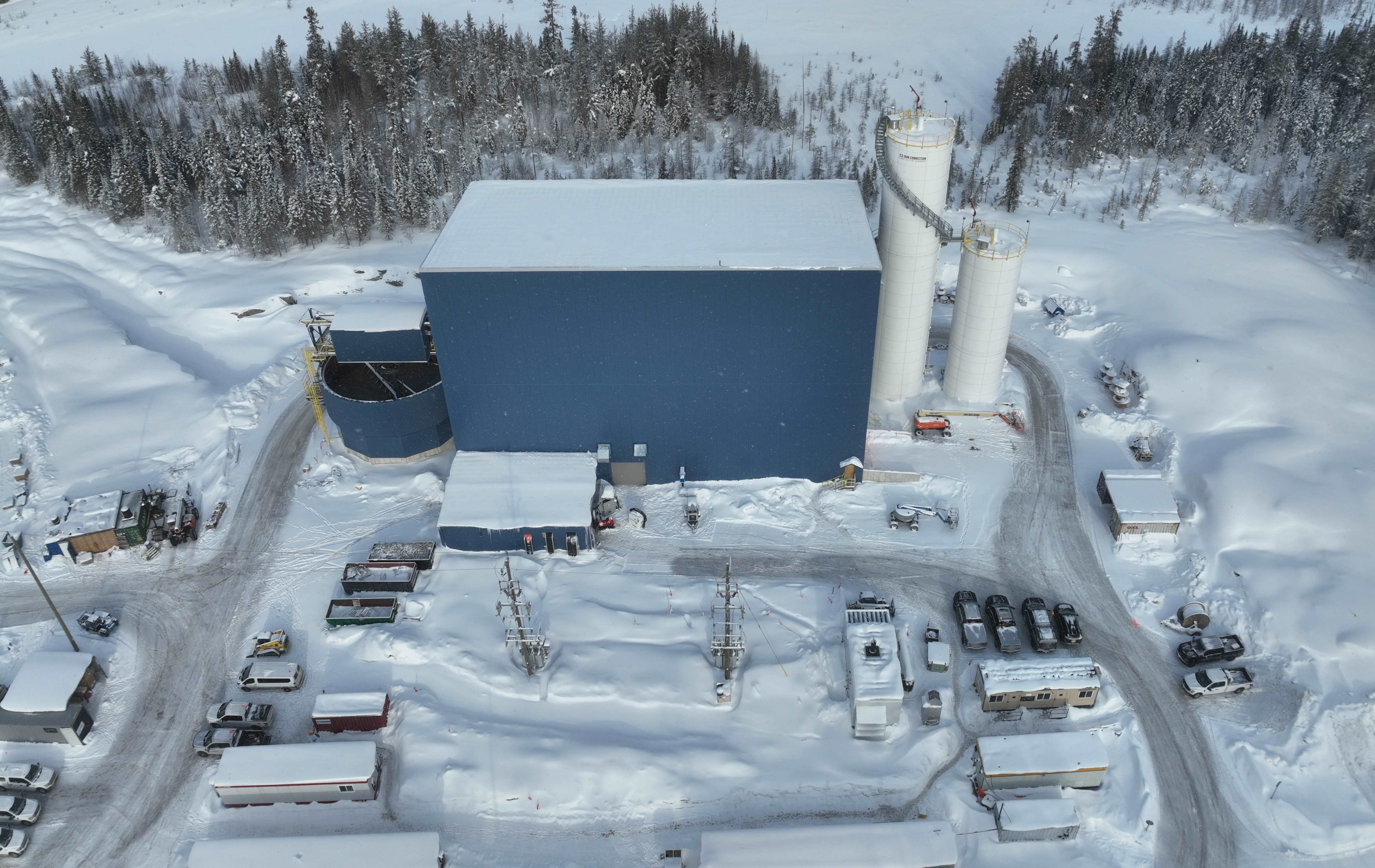 islandgoldpasteplant_februa.jpg