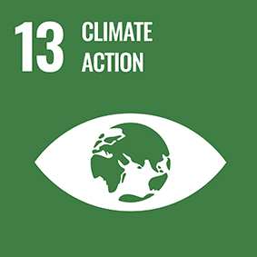 sdggoal13.jpg
