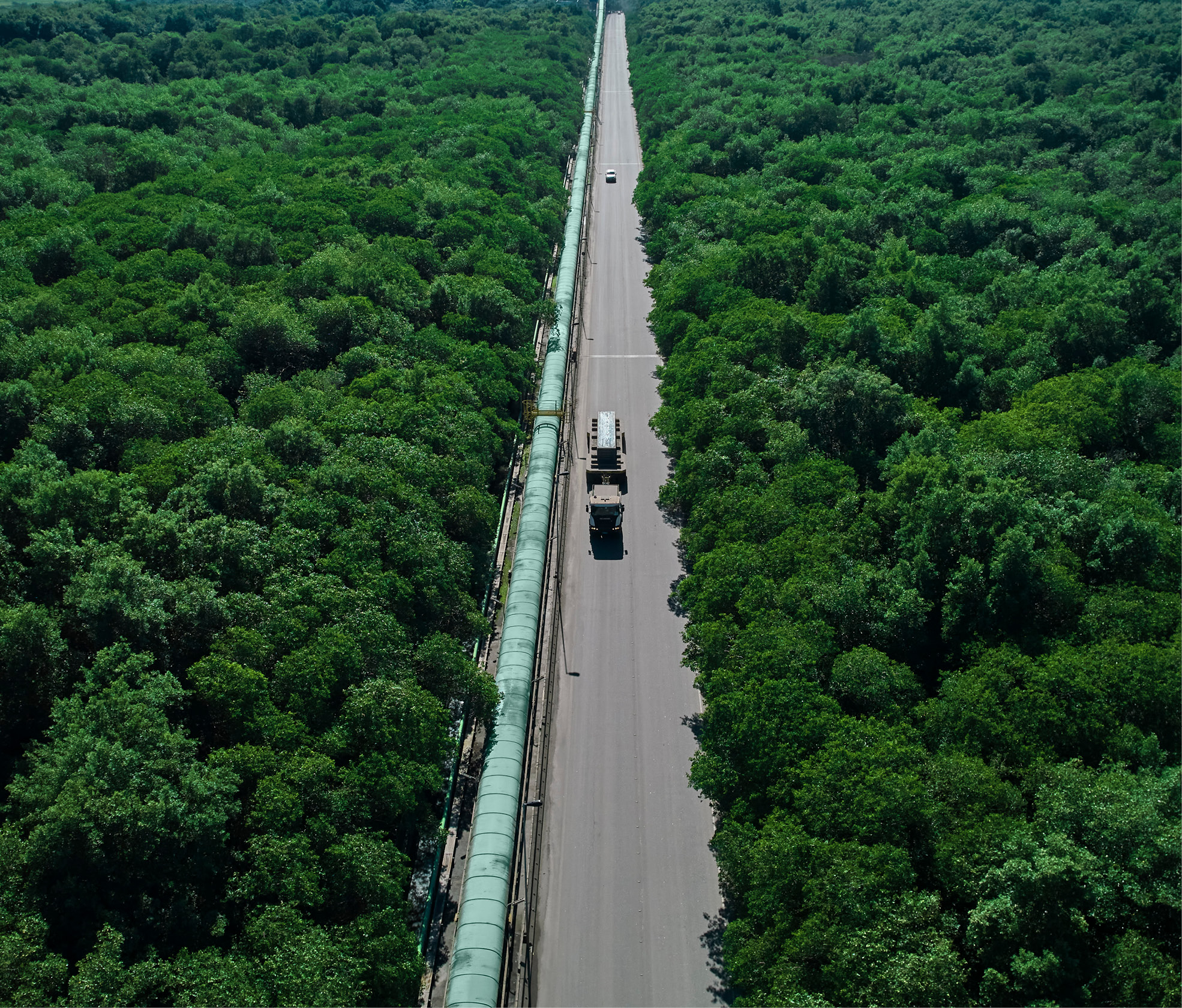 tx_sr2023xenvironmentx01.jpg