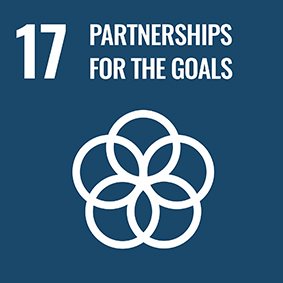 sdggoal17.jpg