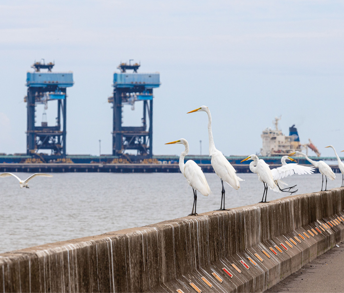 tx_sr2024xenvironmentx01.jpg