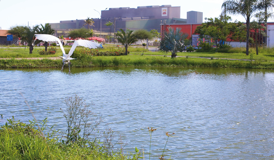 tx_sr2024xenvironmentx06.jpg