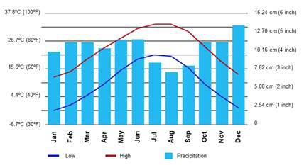Chart, bar chart, histogram

Description automatically generated