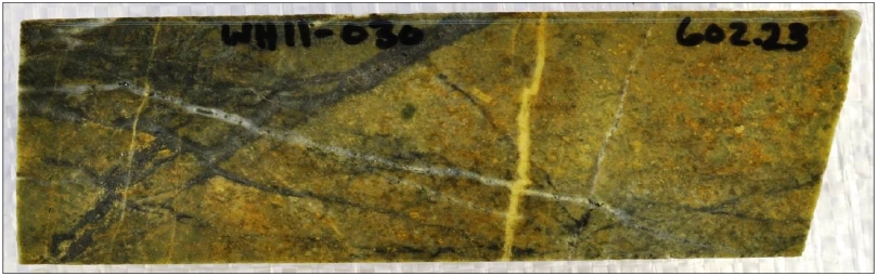 fig716.jpg