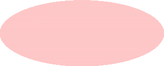 newsrelease6k20260112p31i24