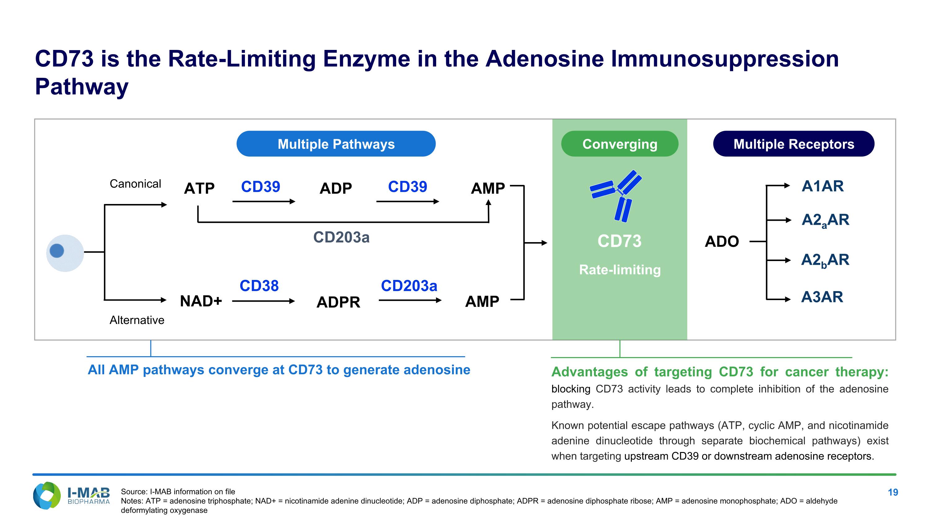 Slide 19