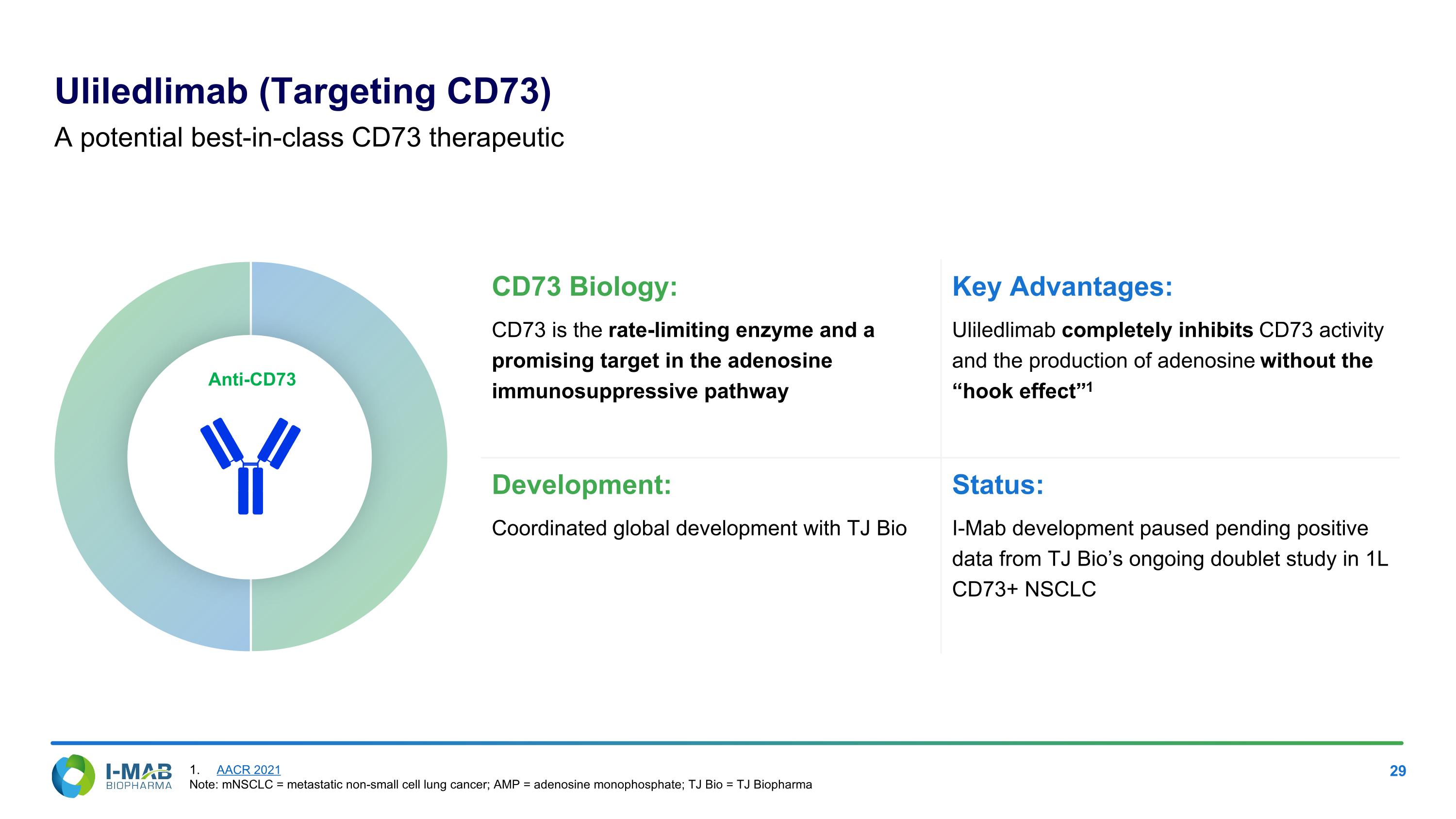 Slide 29