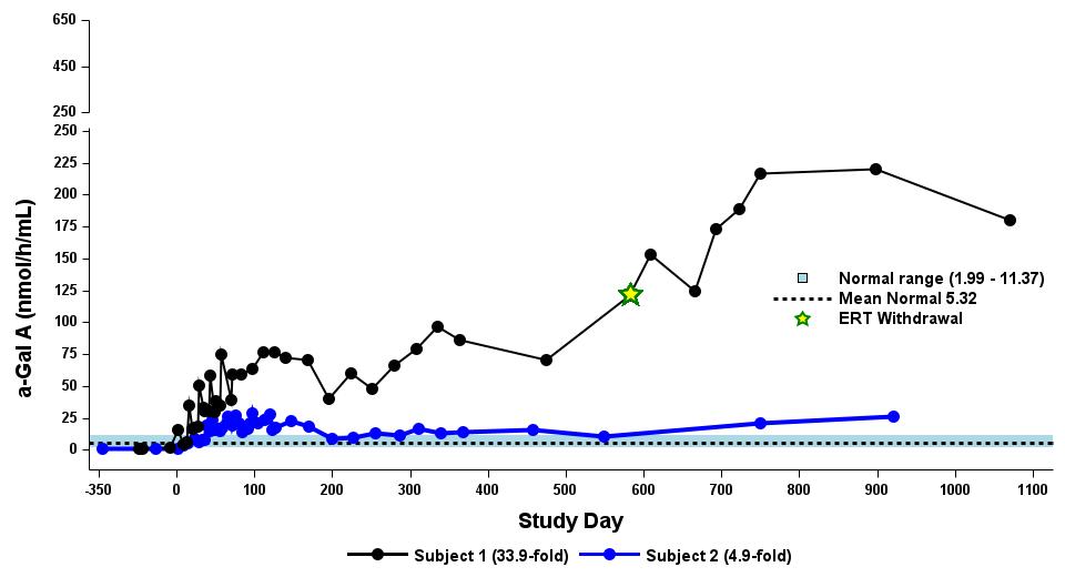 Table 4.1 Dose-dependent effect on α-Gal A activity (dose level 1).jpg