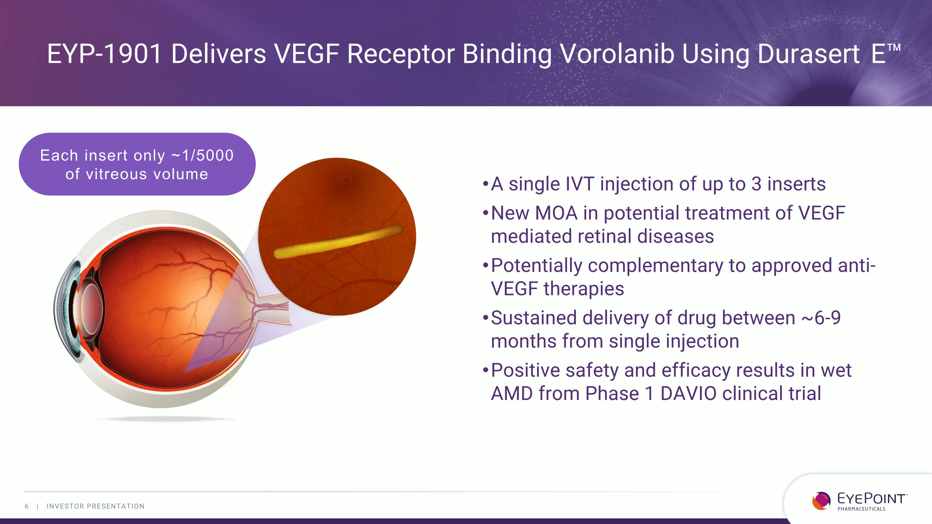 Slide 6