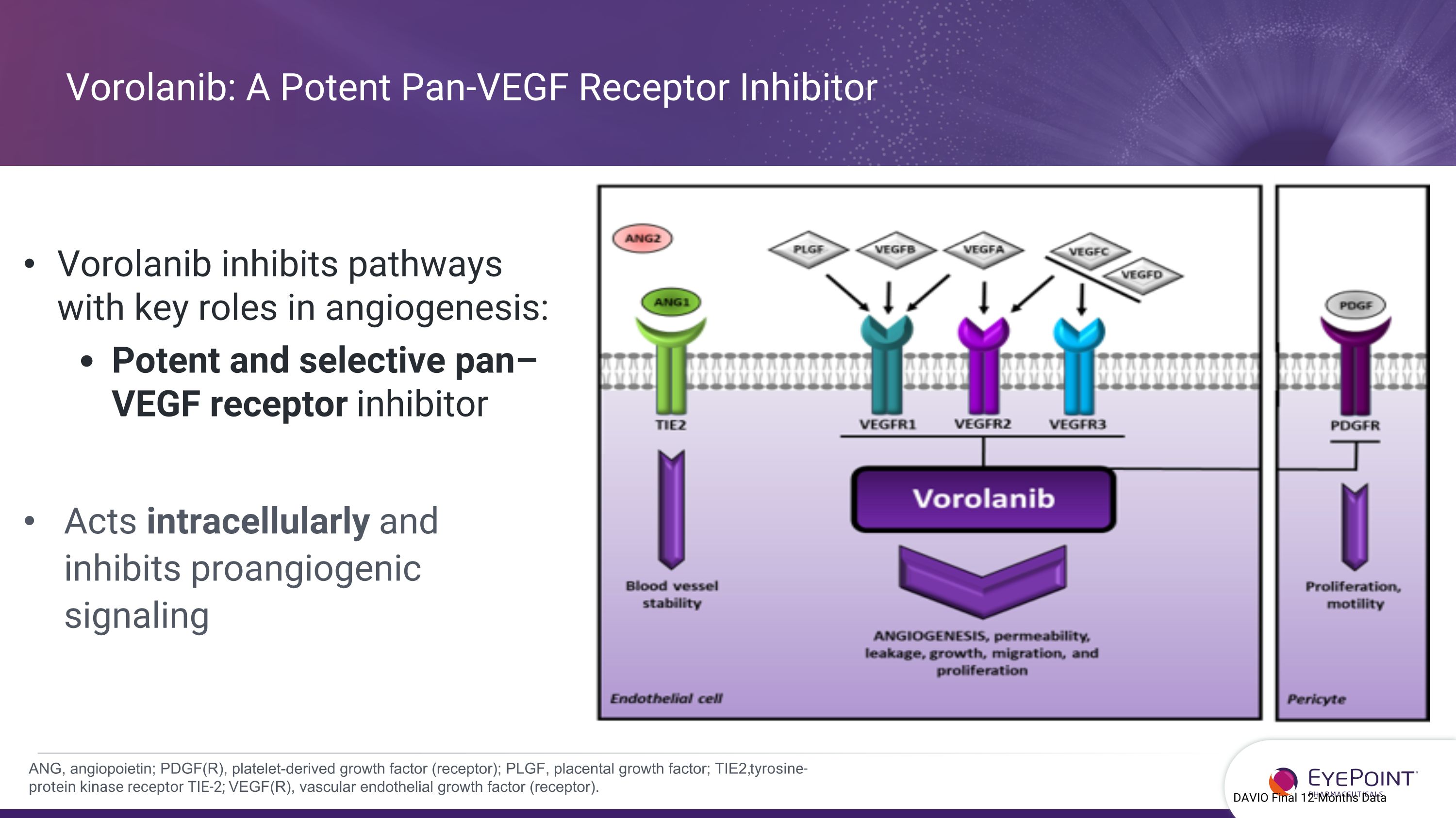 Slide 13