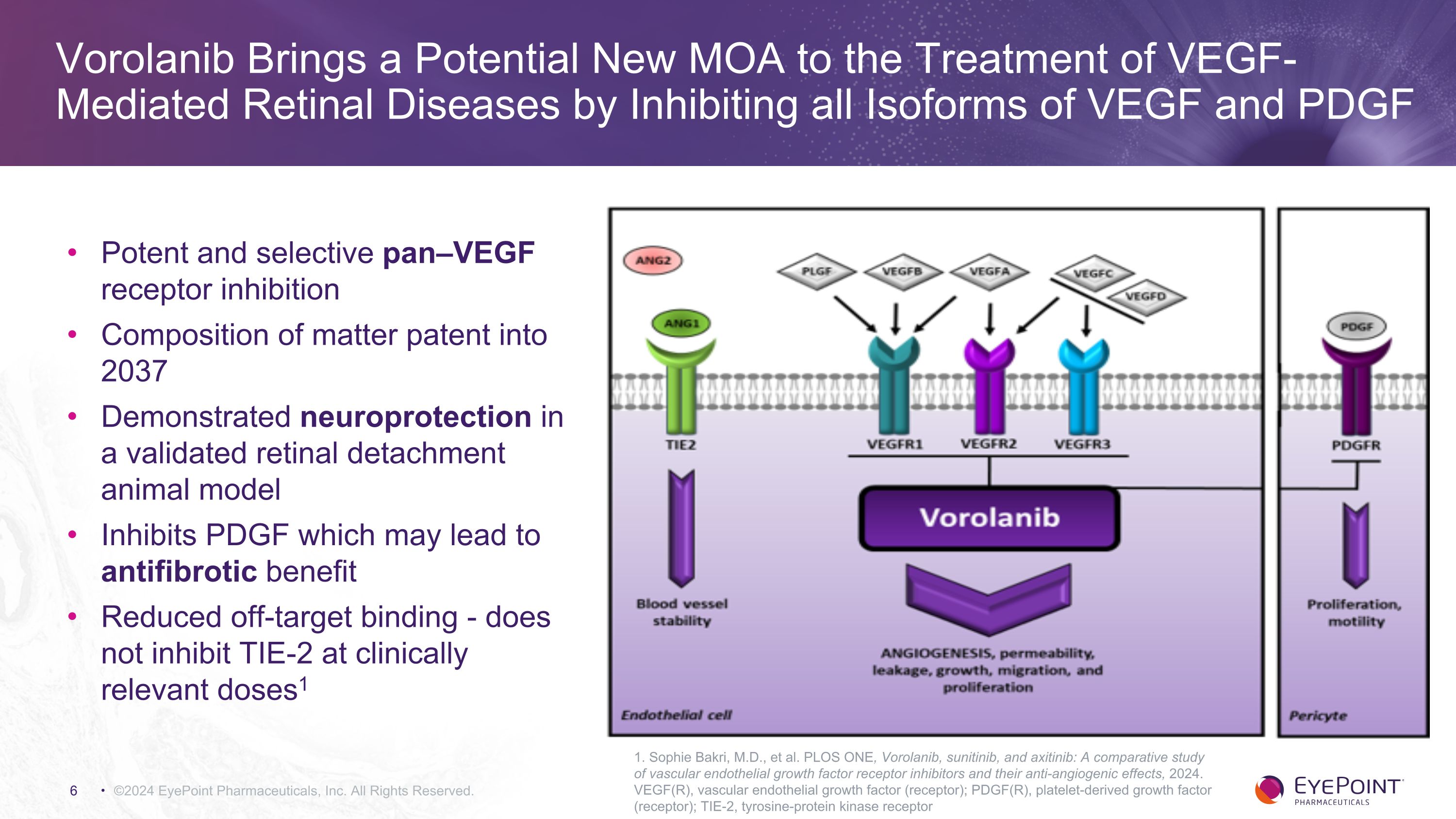 Slide 6