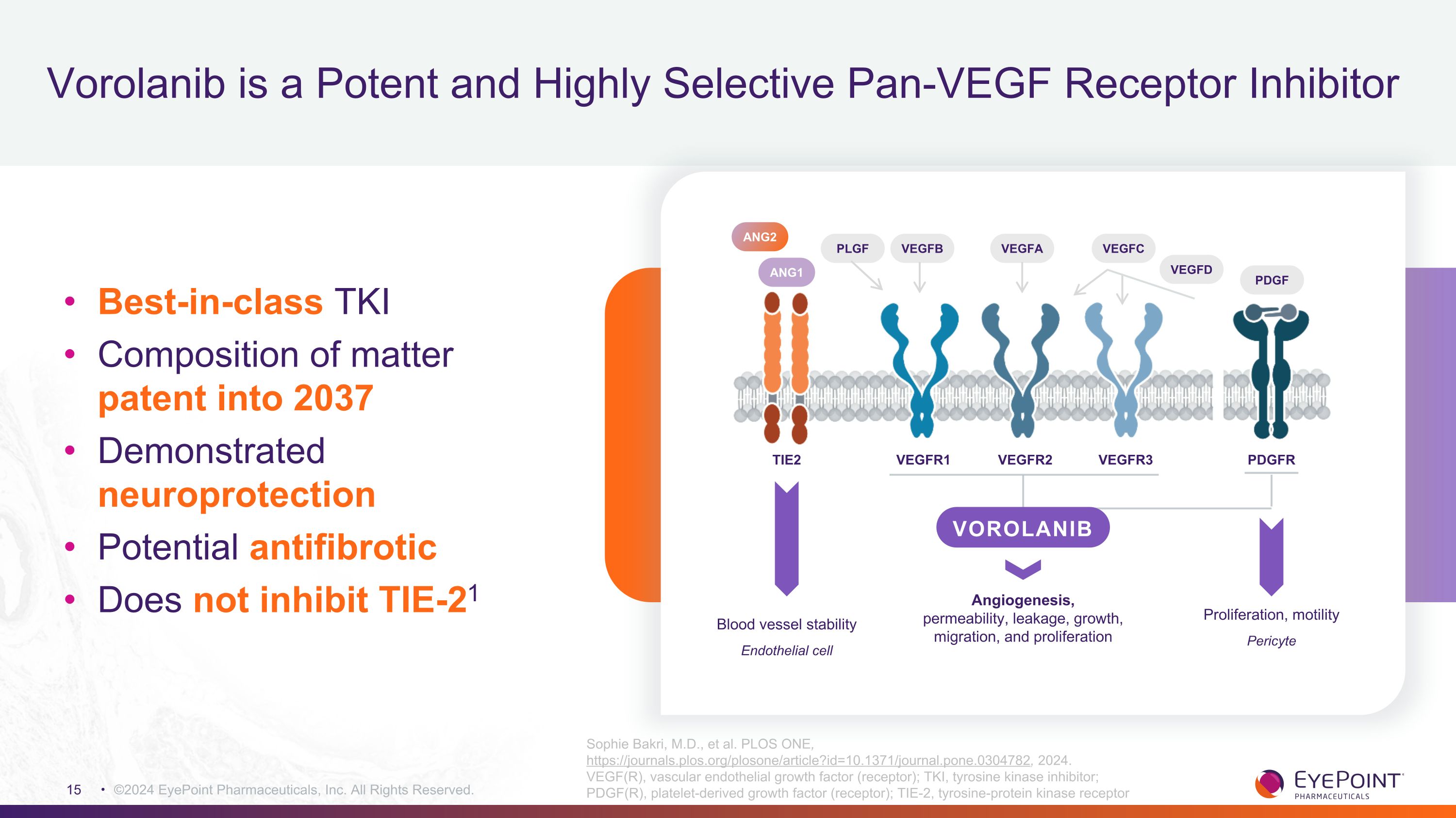 Slide 15