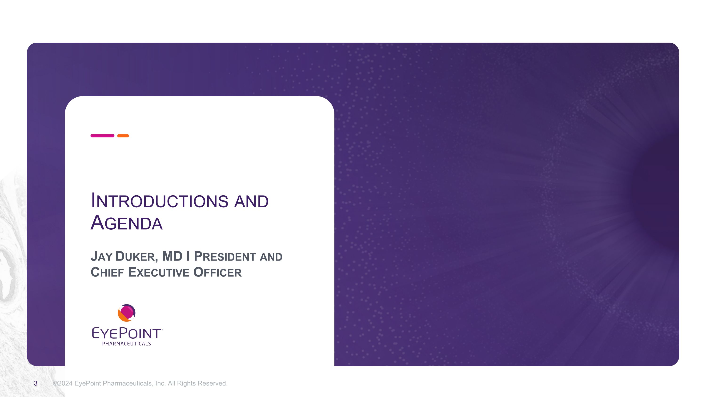 Slide 3