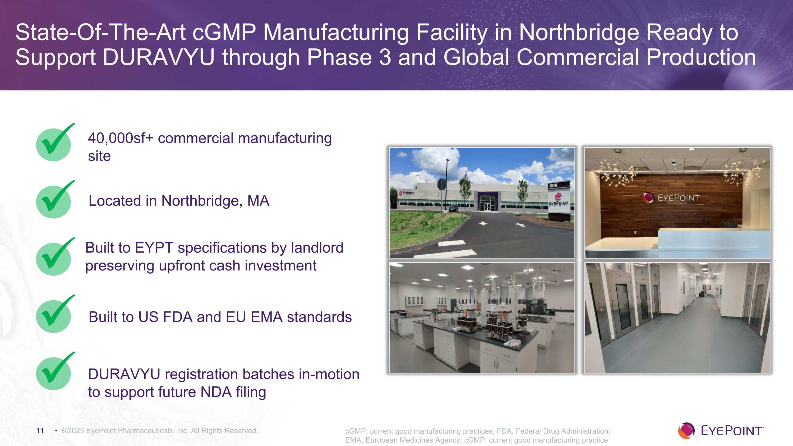 Slide 11