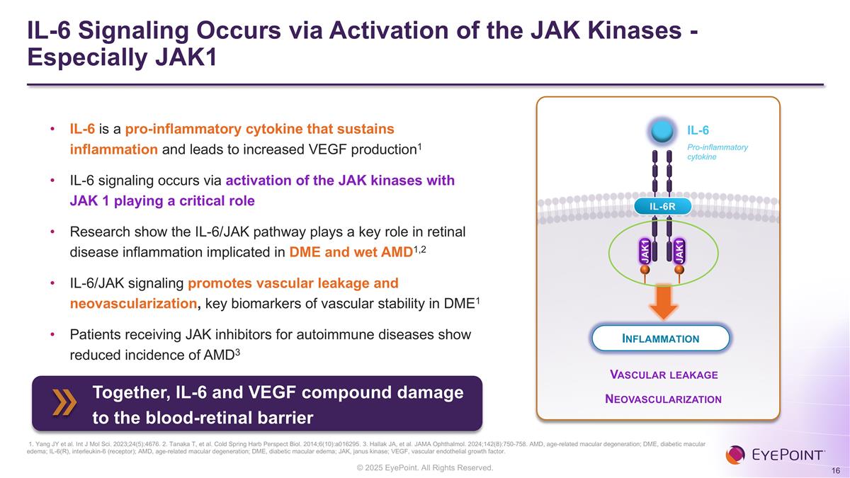 Slide 16