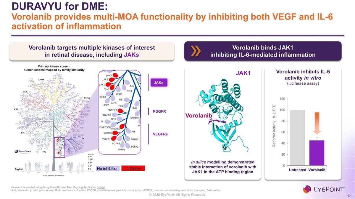 Slide 17