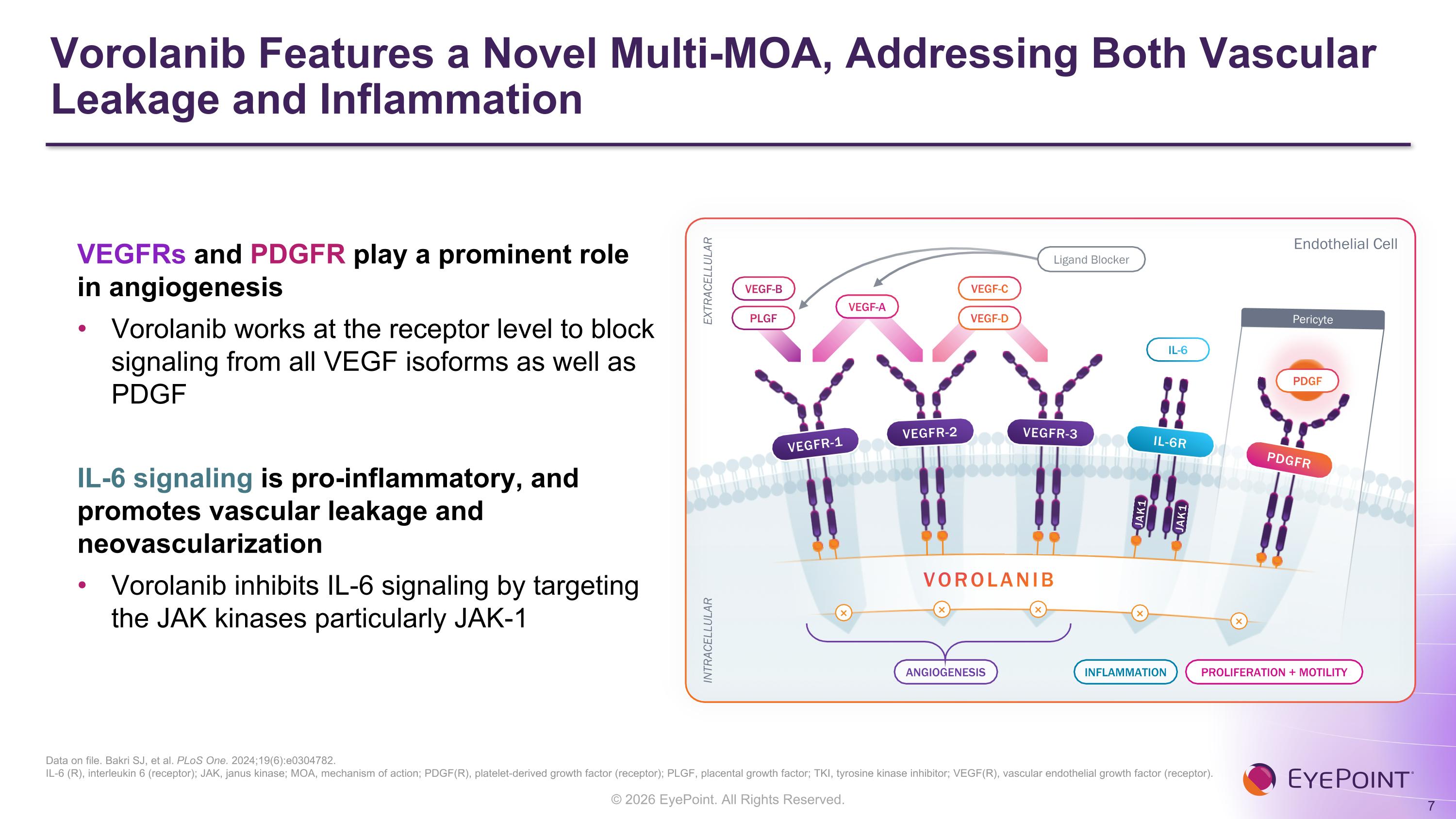Slide 7