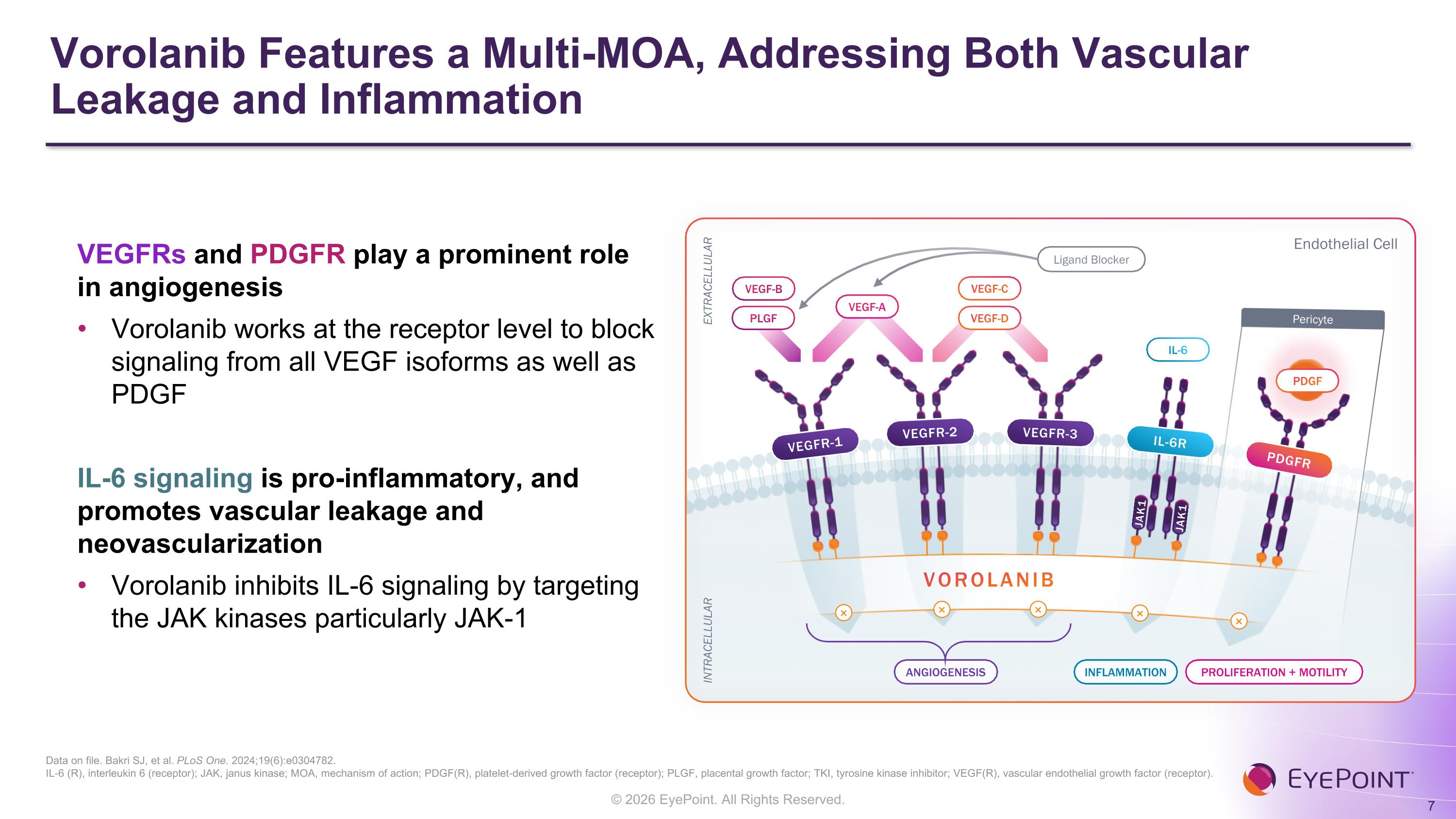 Slide 7