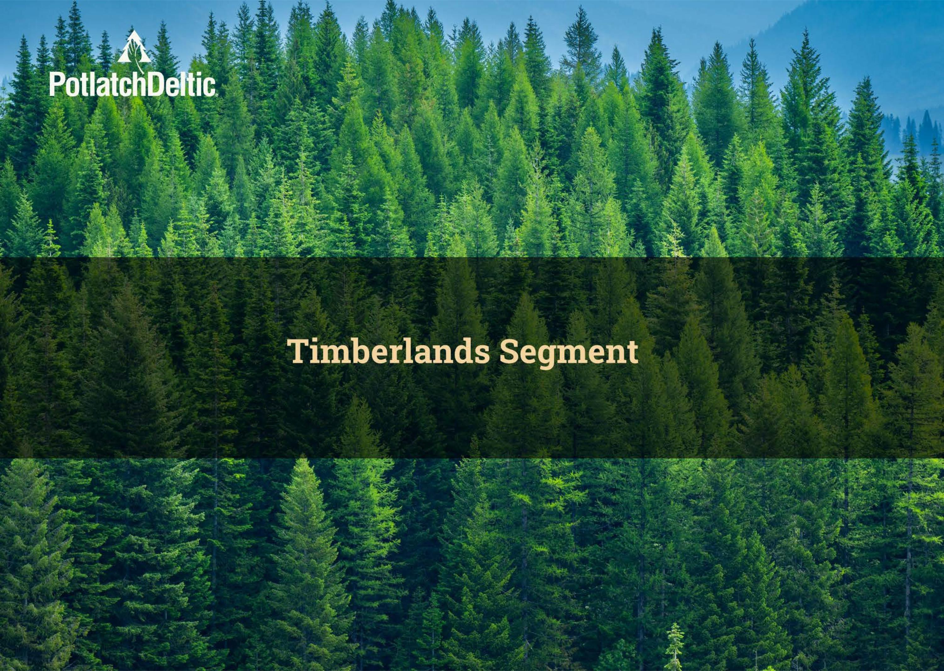 Slide 18