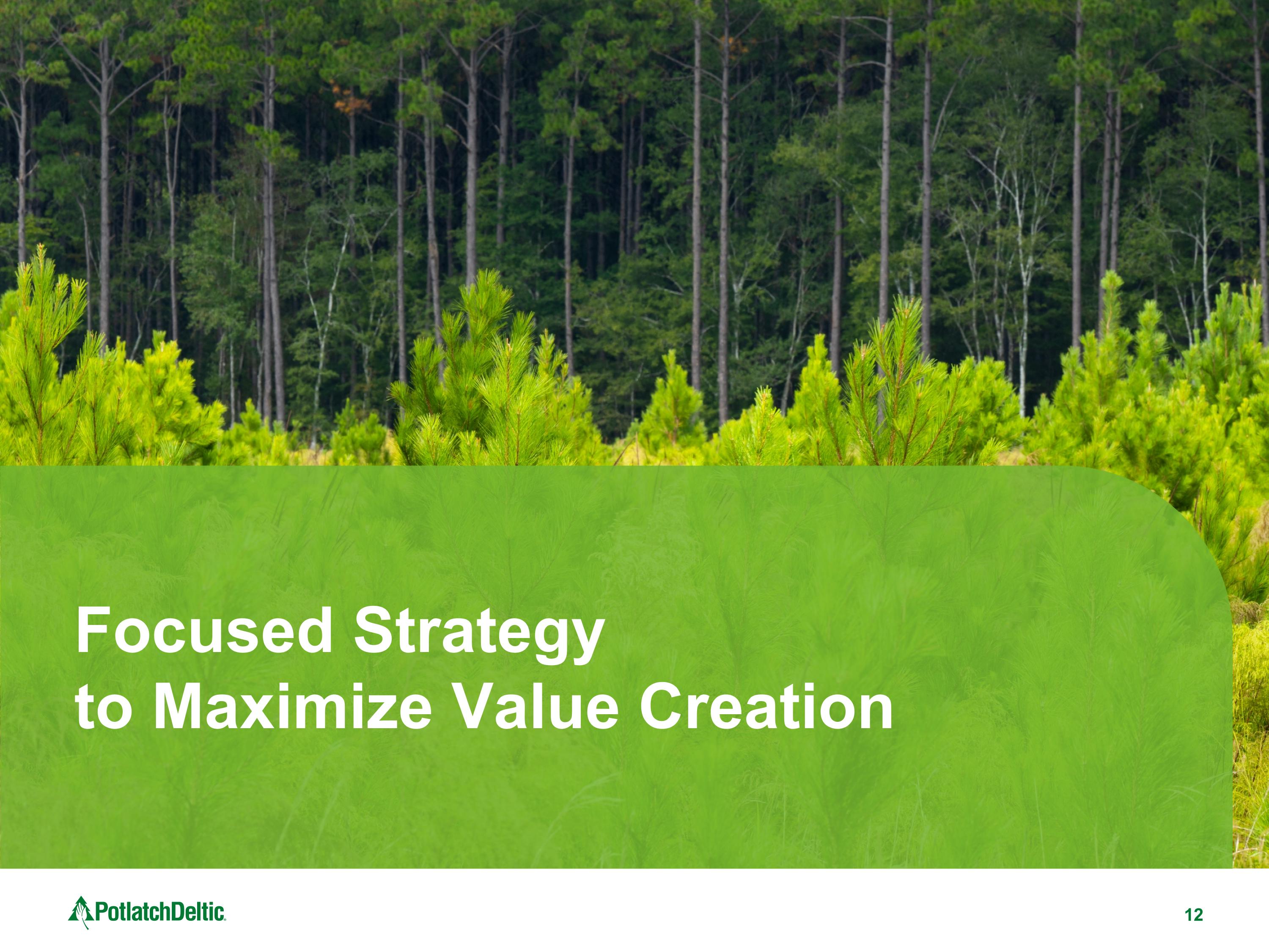 Slide 12