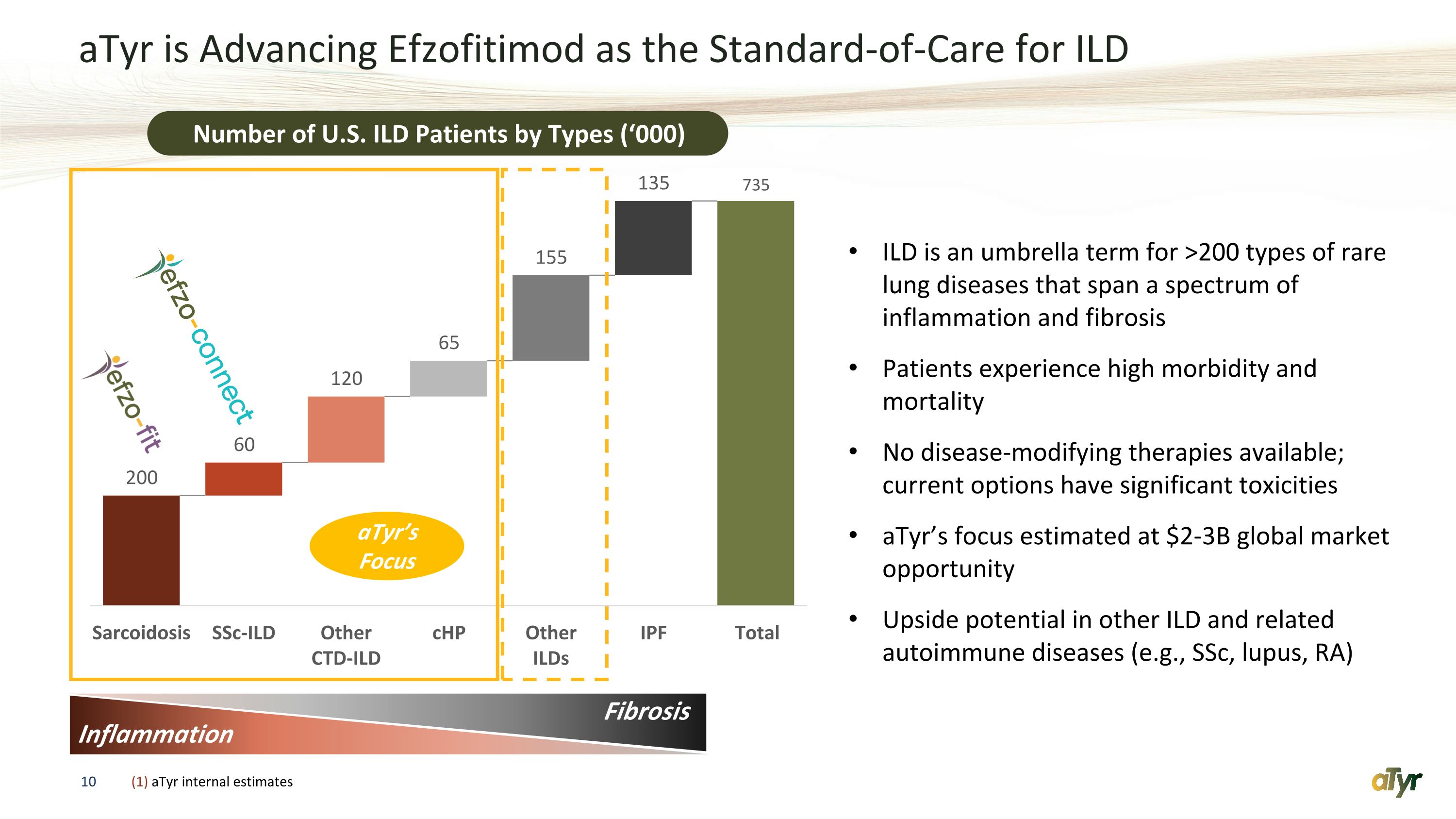 Slide 10