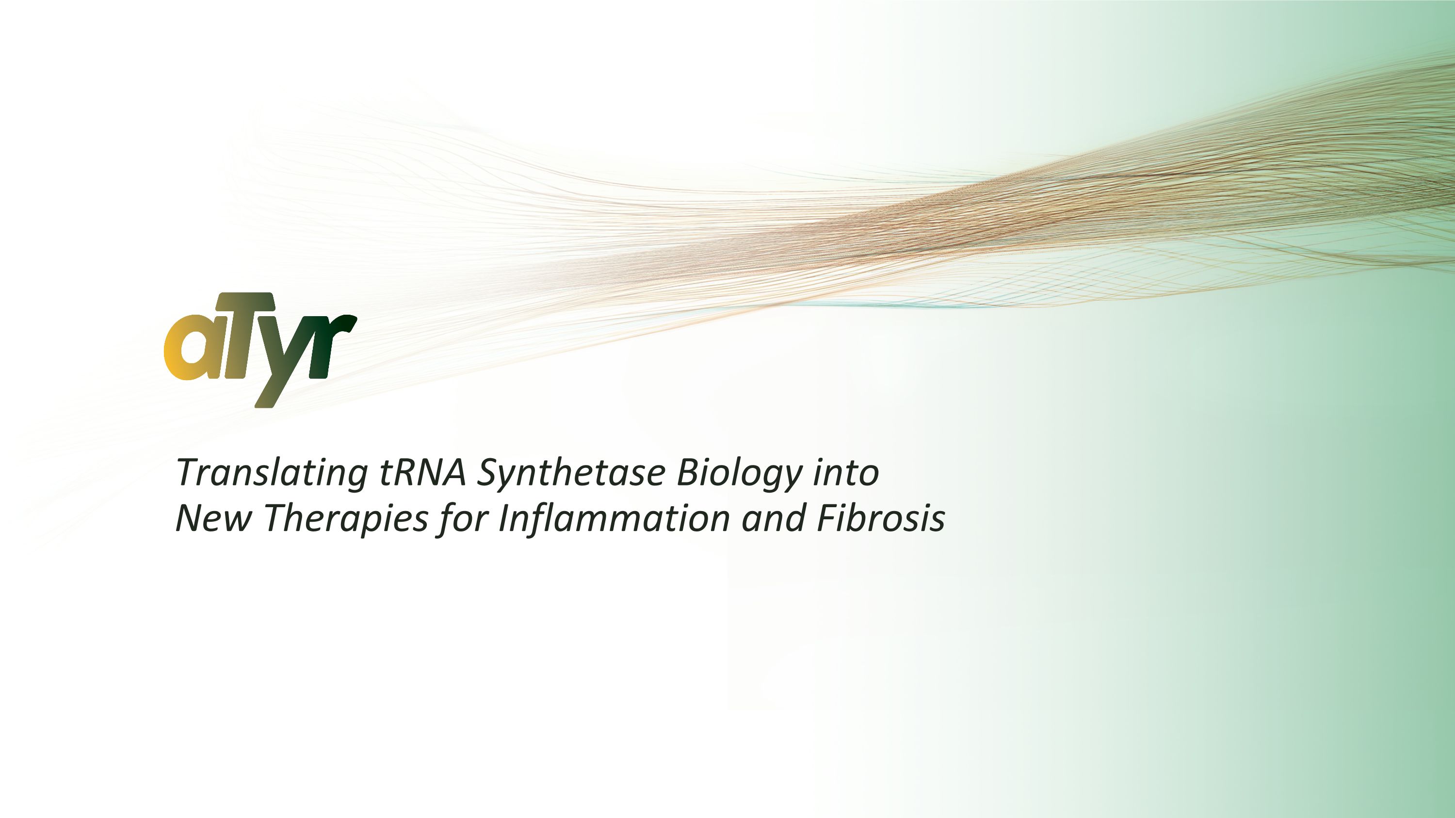 Slide 19