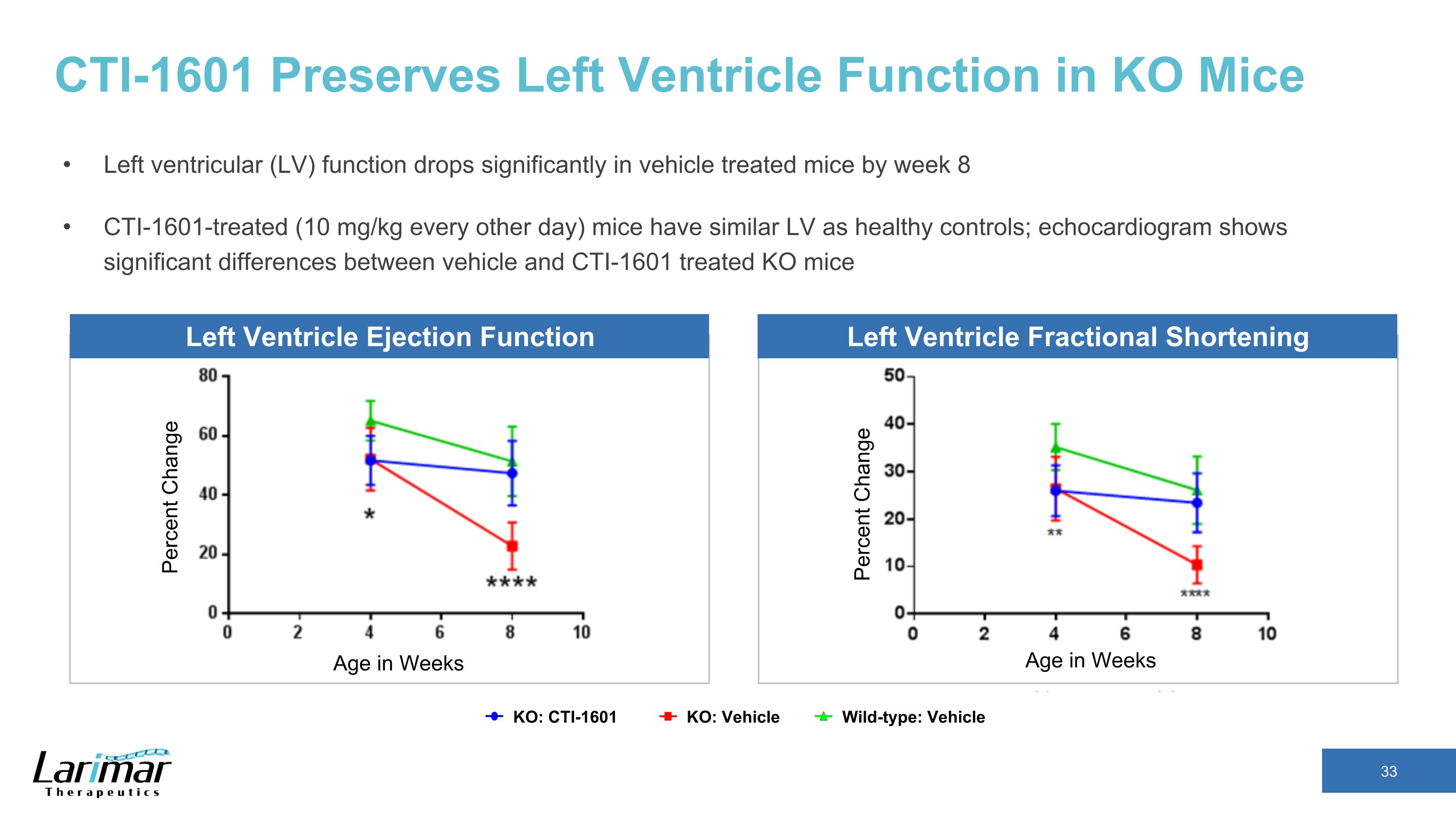 Slide 33