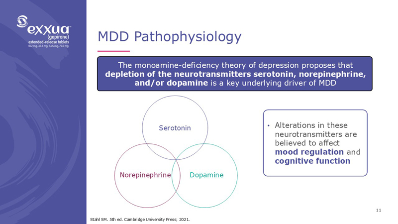 slide11.jpg