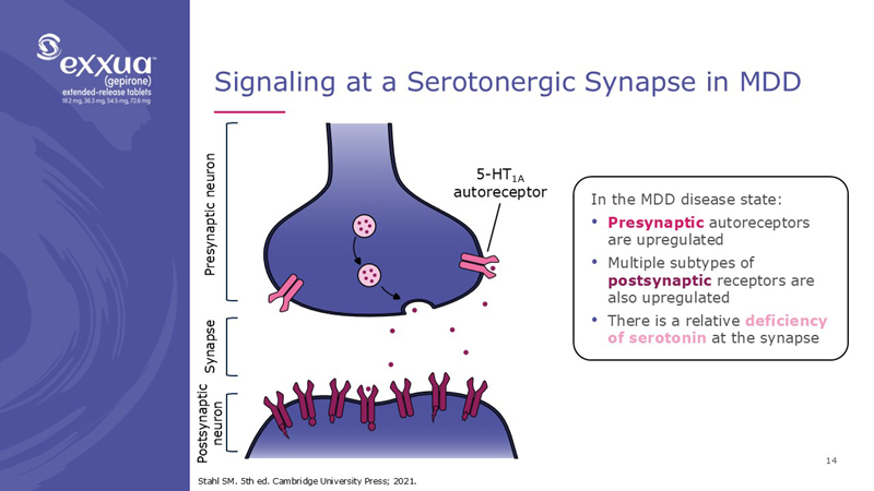slide14.jpg