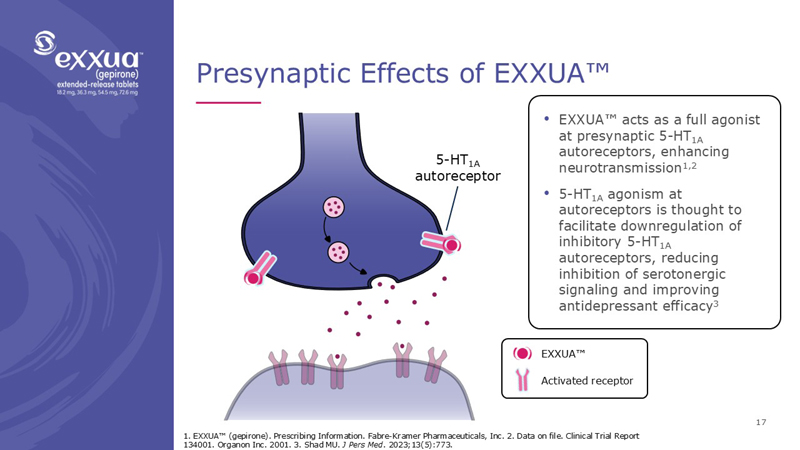 slide17.jpg