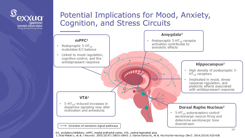 slide19.jpg