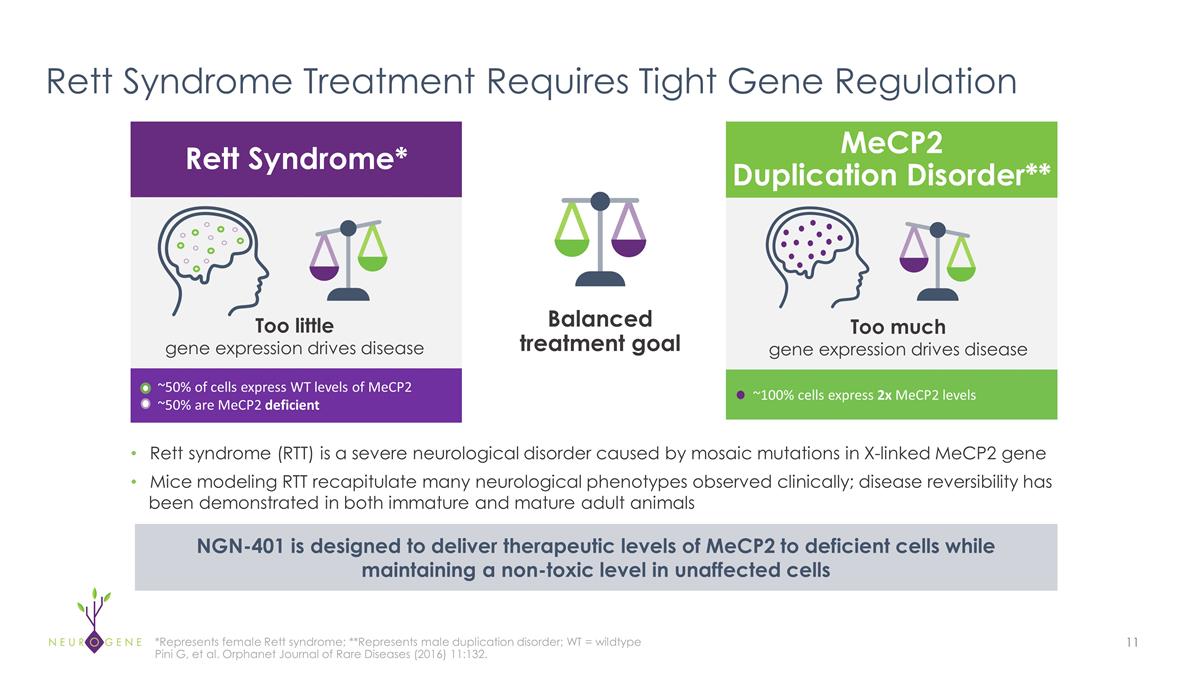 Slide 11