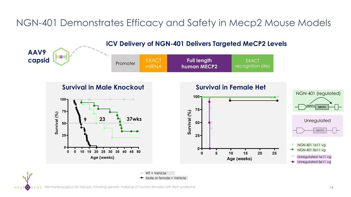 Slide 14