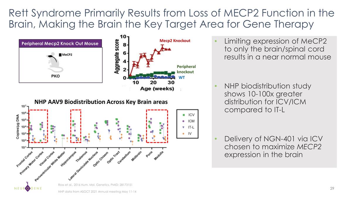Slide 29
