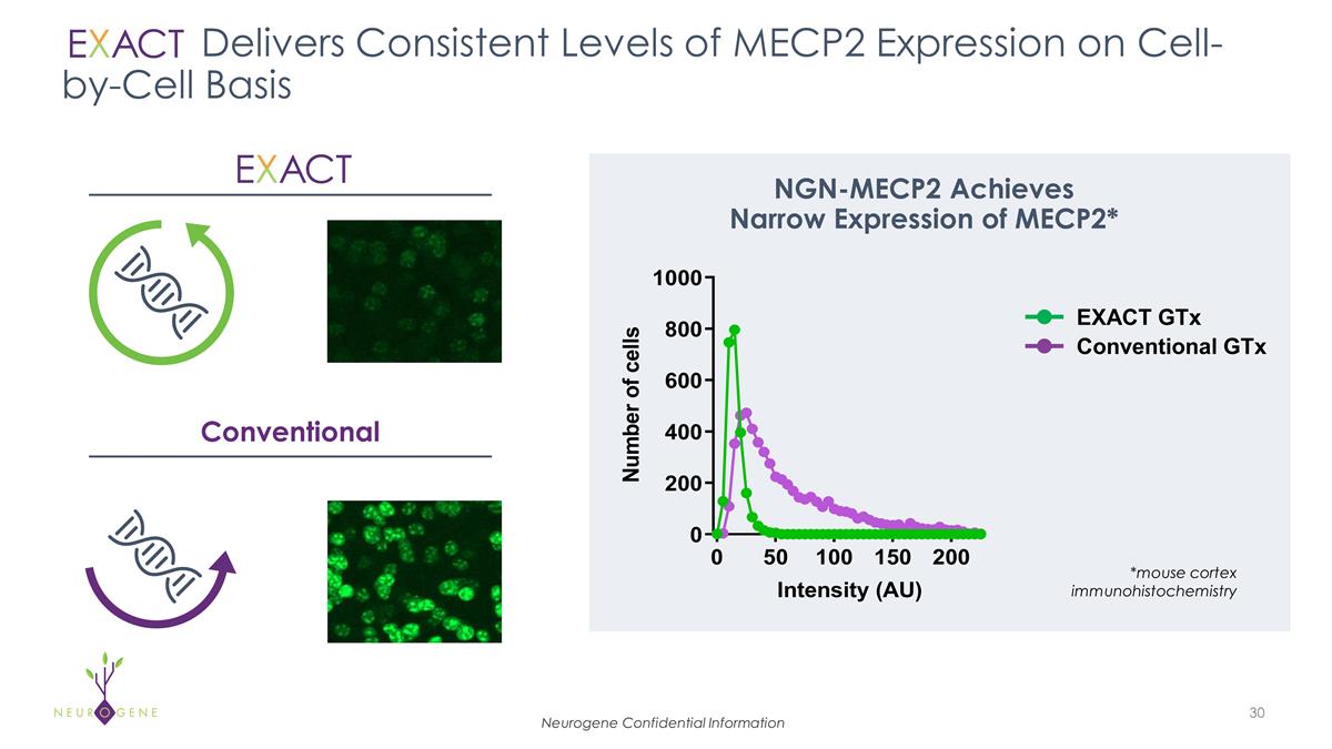 Slide 30