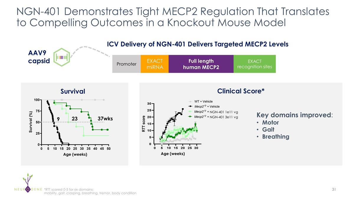 Slide 31