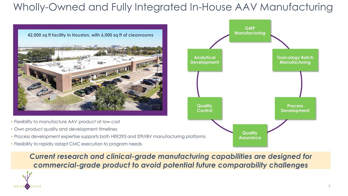Slide 7