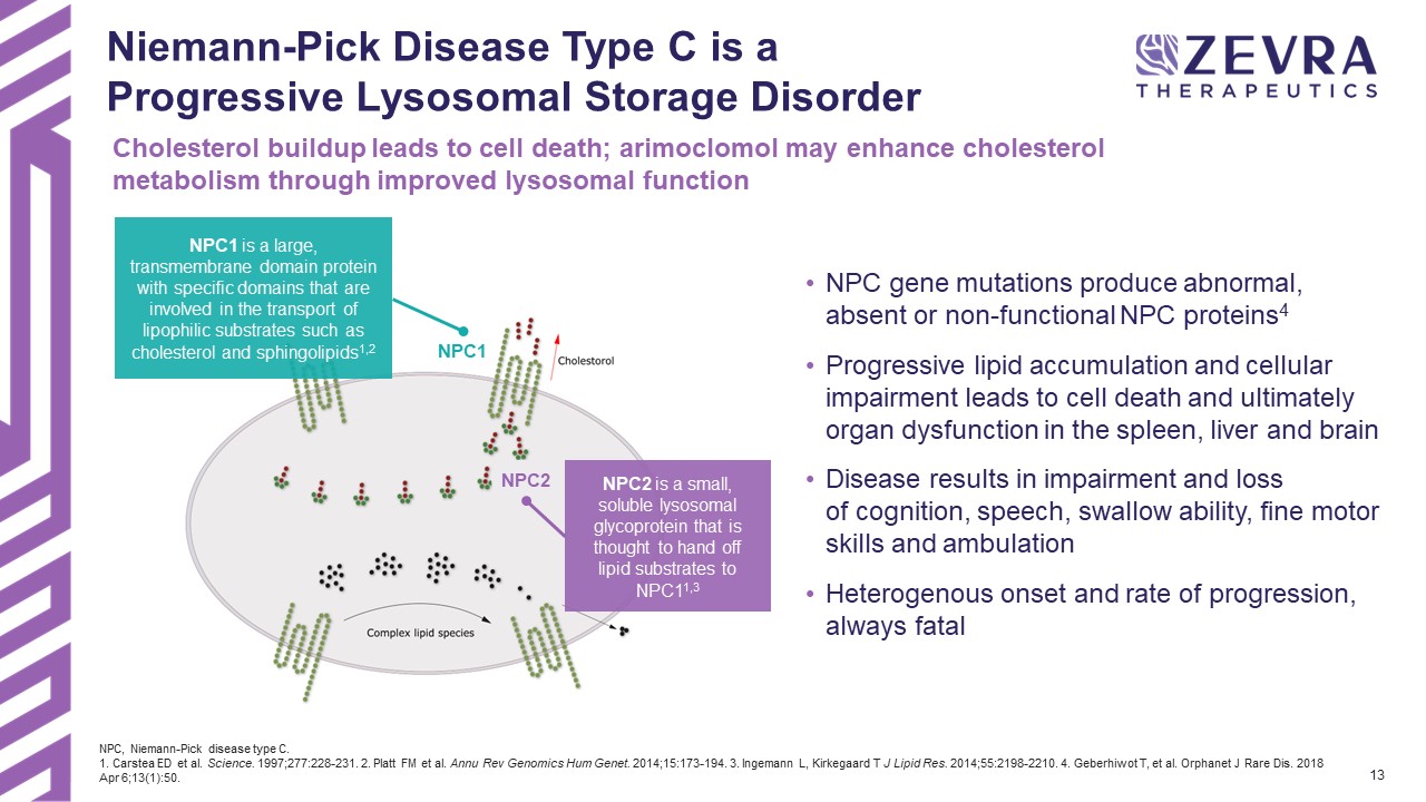 slide13.jpg