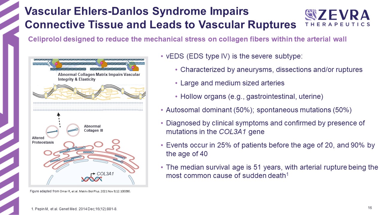 slide16.jpg