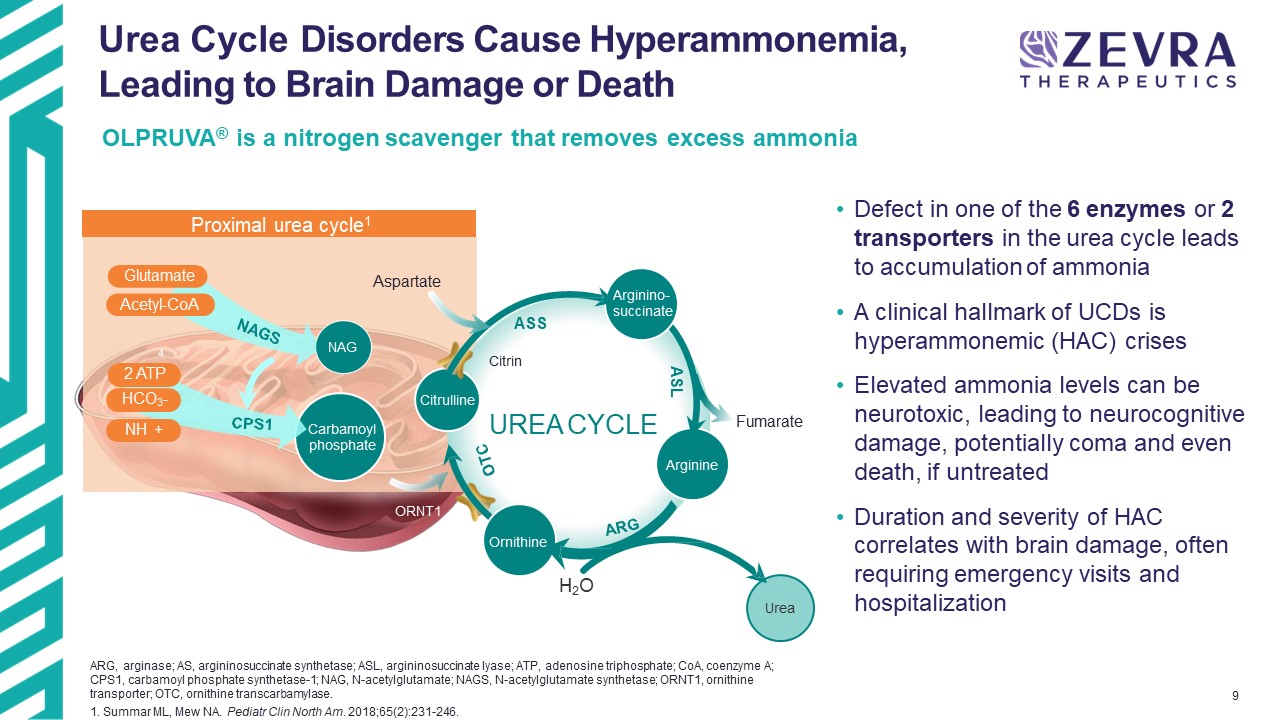 slide9.jpg