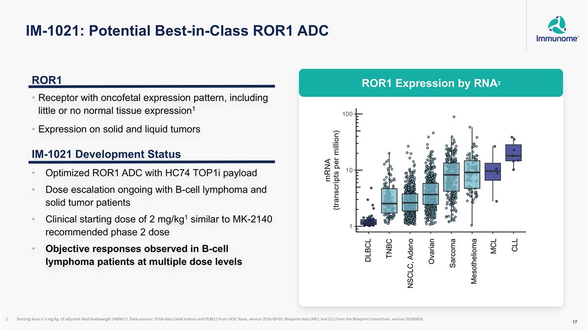 Slide 17