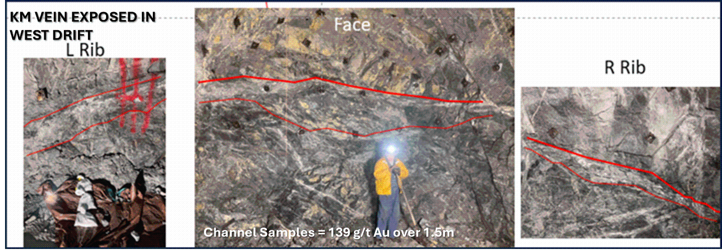 img262433452_2.gif