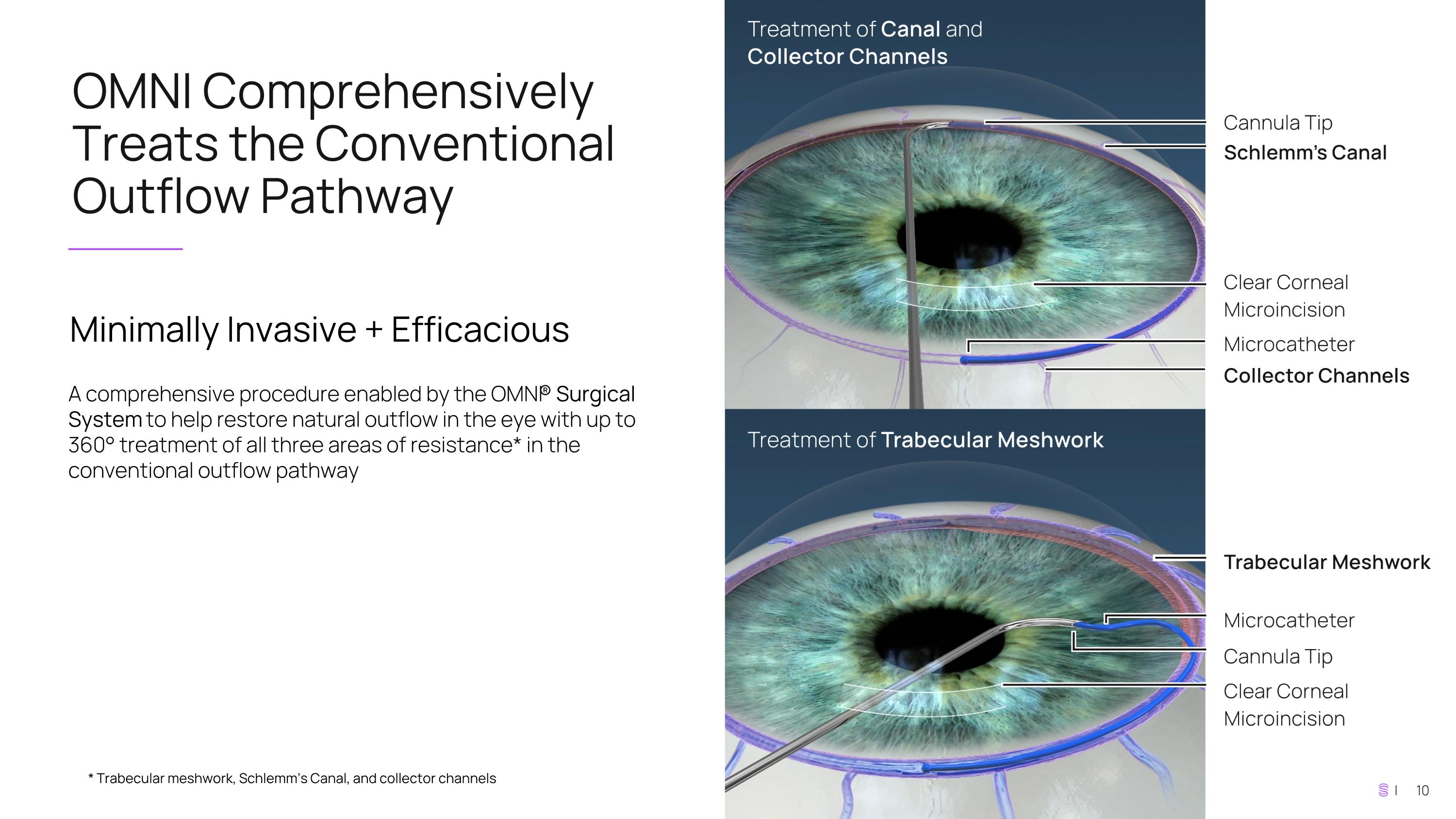 Slide 10