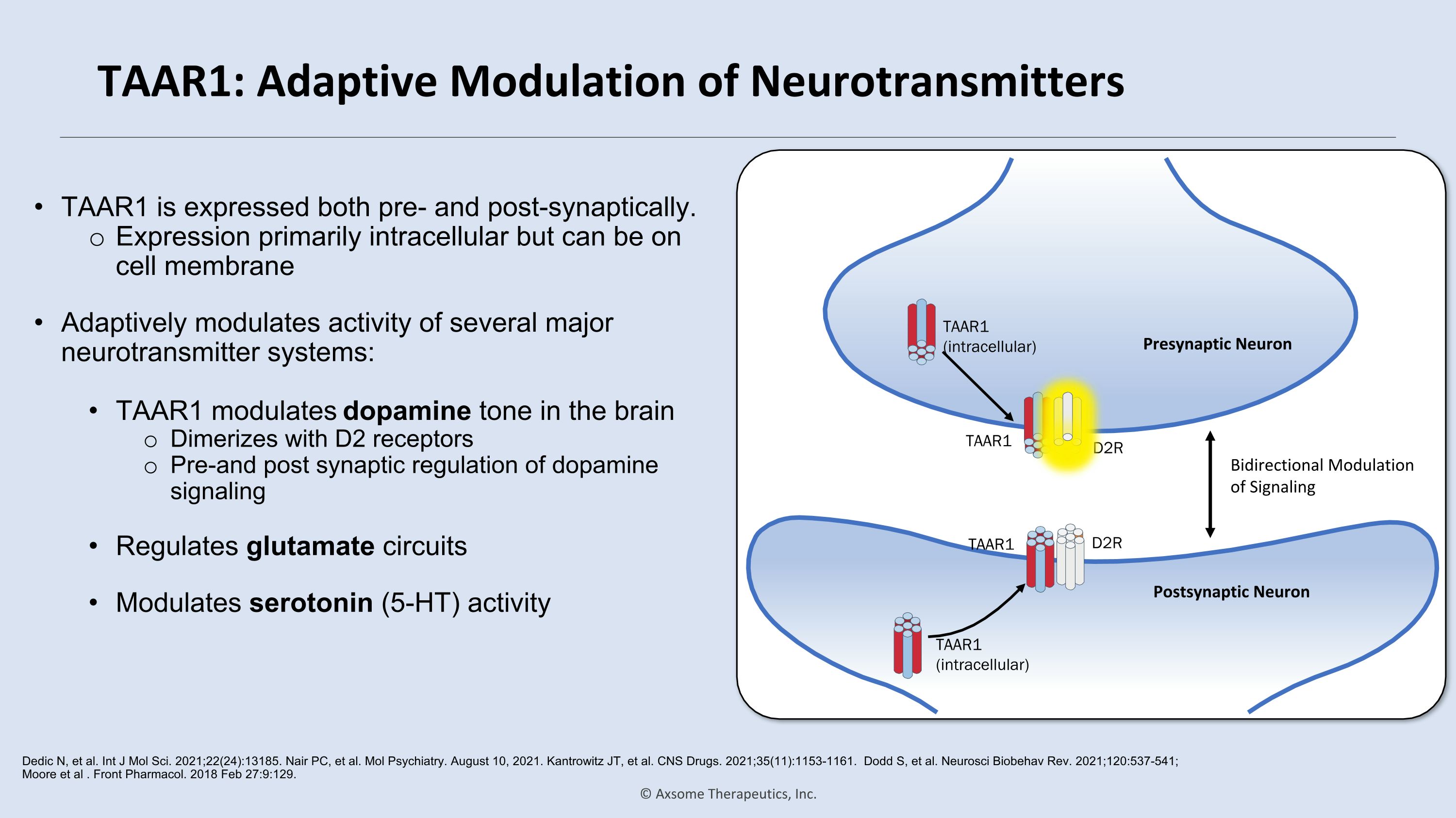 Slide 15