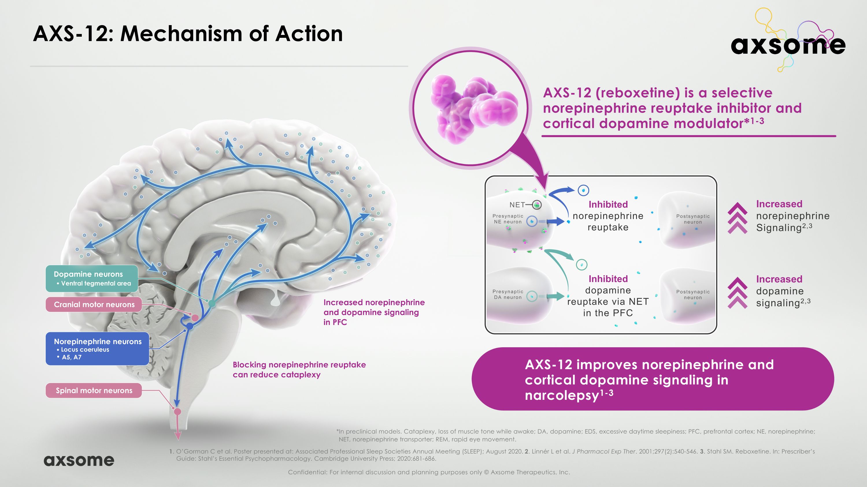 Slide 6